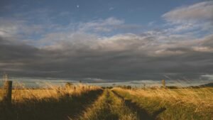 Paying for Weed with Interac e-Transfer: A Practical Walkthrough